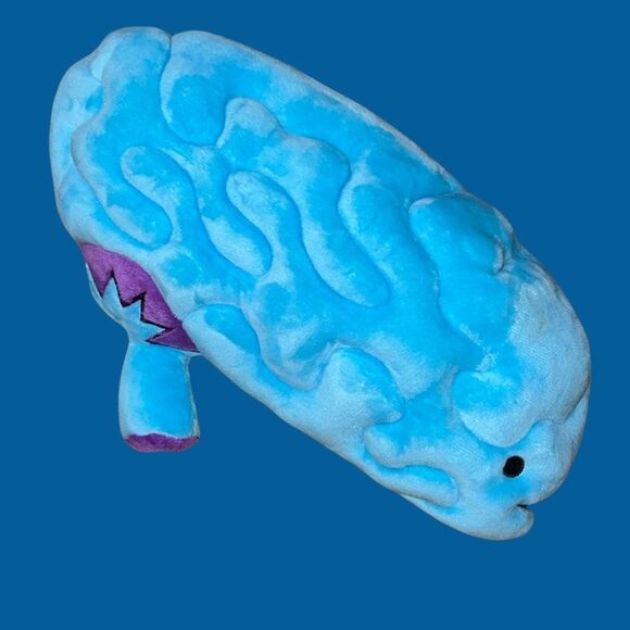 NWT I Heart Guts Brain All You Need Is Lobe Stuffed Plush Anatomy Toy STEM 11” - Picture 6 of 7